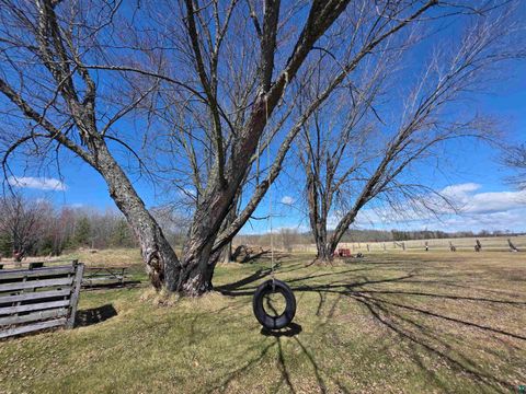 Tiny photo for 40139 County Rd 251, Cohasset, MN 55721 (MLS # 6124864)