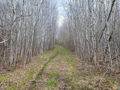 Photo of 20 Sled Dog Trl, Hovland, MN 55606 (MLS # 6125699)