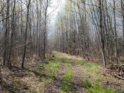 Tiny photo for 20 Sled Dog Trl, Hovland, MN 55606 (MLS # 6125699)