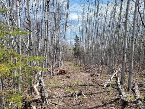 Tiny photo for 20 Sled Dog Trl, Hovland, MN 55606 (MLS # 6125699)