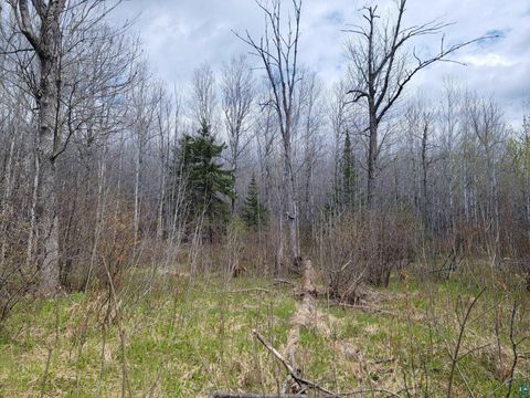 Tiny photo for 20 Sled Dog Trl, Hovland, MN 55606 (MLS # 6125699)