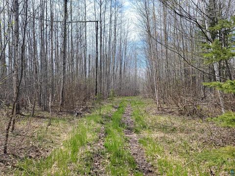 Tiny photo for 20 Sled Dog Trl, Hovland, MN 55606 (MLS # 6125699)