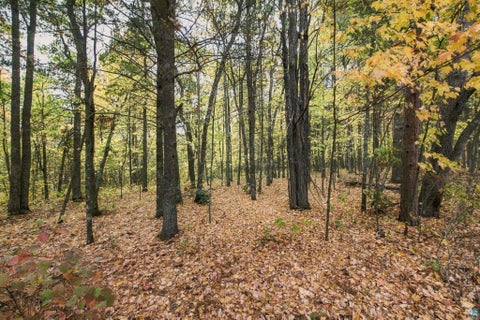 Tiny photo for 69110 Fire Lake Rd, Iron River, WI 54847 (MLS # 6128314)