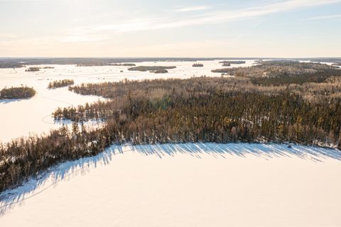 Tiny photo for 95150 Bystrom Bay, Tower, MN 55790 (MLS # 6122986)