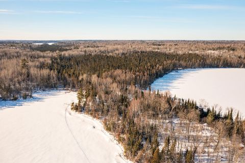 Tiny photo for 95150 Bystrom Bay, Tower, MN 55790 (MLS # 6122986)