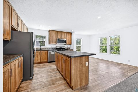 Tiny photo for 306 W Palm St, Duluth, MN 55811 (MLS # 6125922)