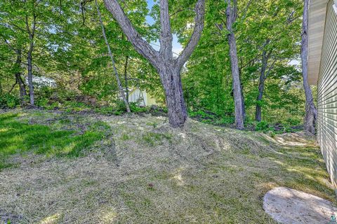 Tiny photo for 306 W Palm St, Duluth, MN 55811 (MLS # 6125922)