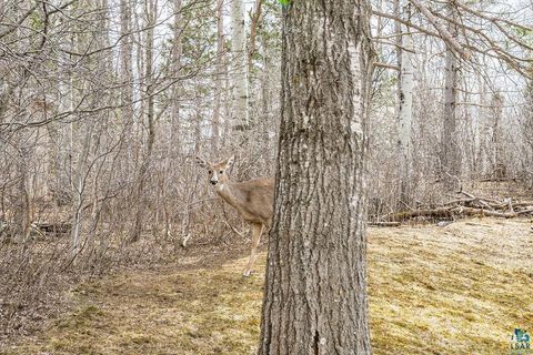 Tiny photo for 1920 Hutchinson Rd, Duluth, MN 55811 (MLS # 6125277)
