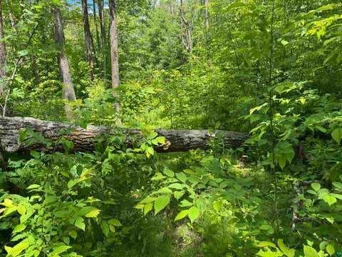 Tiny photo for 23637 561st Ln, McGregor, MN 55760 (MLS # 6127268)