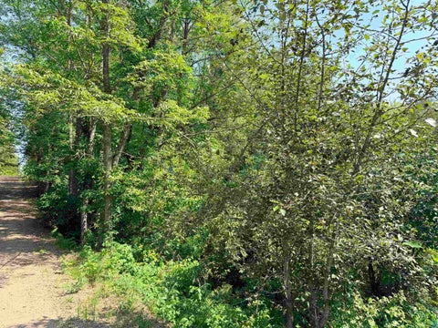 Tiny photo for 23637 561st Ln, McGregor, MN 55760 (MLS # 6127268)