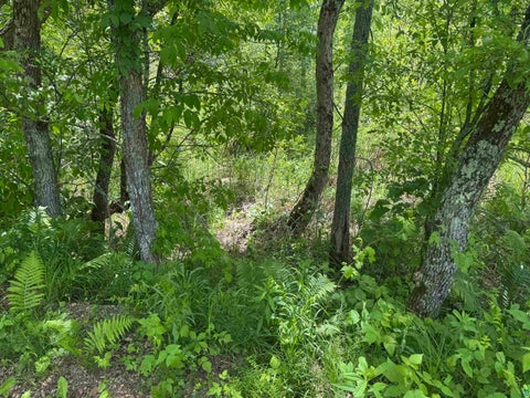 Tiny photo for 23637 561st Ln, McGregor, MN 55760 (MLS # 6127268)