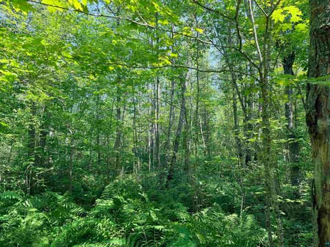 Tiny photo for 23637 561st Ln, McGregor, MN 55760 (MLS # 6127268)