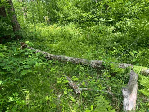 Tiny photo for 23637 561st Ln, McGregor, MN 55760 (MLS # 6127268)