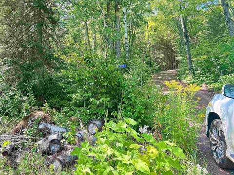 Tiny photo for 109 Sobanja Ln, Grand Marais, MN 55604 (MLS # 6127679)