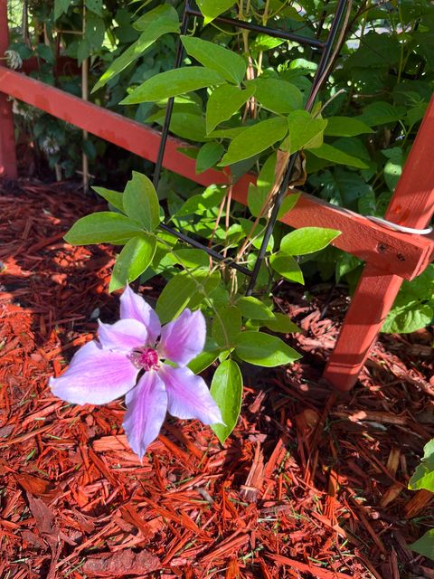 Tiny photo for 4057 Highway 11 St, International Falls, MN 56649 (MLS # 6122749)