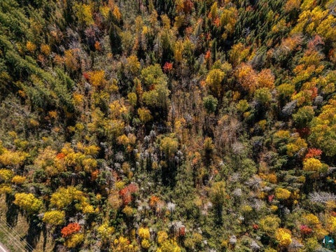 Tiny photo for XXX Wales Rd, Two Harbors, MN 55811 (MLS # 6128316)