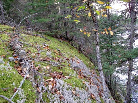 Tiny photo for 3 Old Gunflint Trail, Grand Marais, MN 55604 (MLS # 6122318)