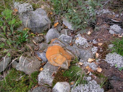 Tiny photo for 3 Old Gunflint Trail, Grand Marais, MN 55604 (MLS # 6122318)