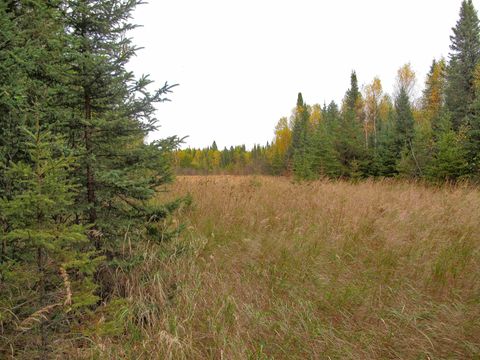 Tiny photo for 3 Old Gunflint Trail, Grand Marais, MN 55604 (MLS # 6122318)