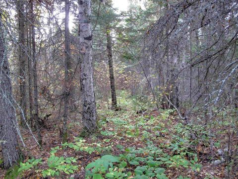 Tiny photo for 3 Old Gunflint Trail, Grand Marais, MN 55604 (MLS # 6122318)