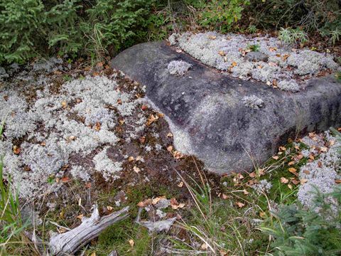 Tiny photo for 3 Old Gunflint Trail, Grand Marais, MN 55604 (MLS # 6122318)