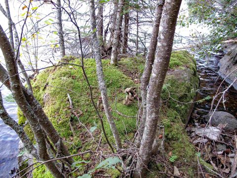 Tiny photo for 3 Old Gunflint Trail, Grand Marais, MN 55604 (MLS # 6122318)