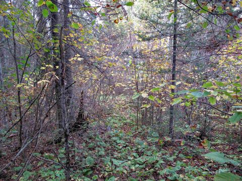 Tiny photo for 3 Old Gunflint Trail, Grand Marais, MN 55604 (MLS # 6122318)