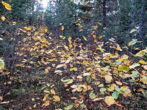 Tiny photo for 3 Old Gunflint Trail, Grand Marais, MN 55604 (MLS # 6122318)