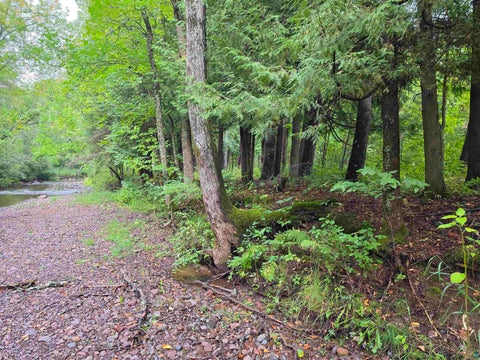 Photo of 609 Bergquist Rd, Duluth, MN 55804 (MLS # 6128079)
