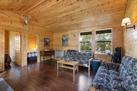 Tiny photo for 2050 Shipman Island, Ely, MN 55731 (MLS # 6124158)