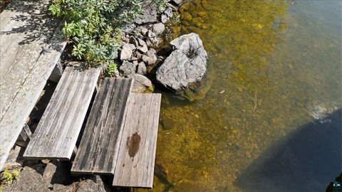 Tiny photo for 2050 Shipman Island, Ely, MN 55731 (MLS # 6124158)