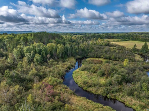 Tiny photo for 4965 Waisanen Rd, Embarrass, MN 55732 (MLS # 6128109)