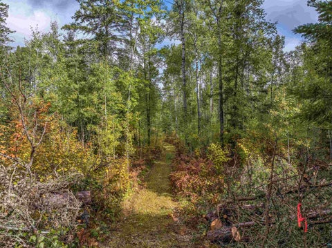 Tiny photo for 4965 Waisanen Rd, Embarrass, MN 55732 (MLS # 6128109)