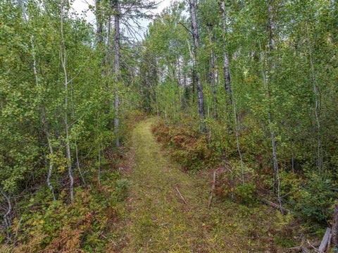Tiny photo for 4965 Waisanen Rd, Embarrass, MN 55732 (MLS # 6128109)