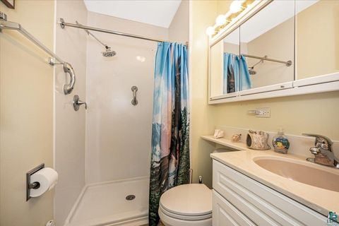 Tiny photo for 2248 Ensign St, Duluth, MN 55811 (MLS # 6124431)