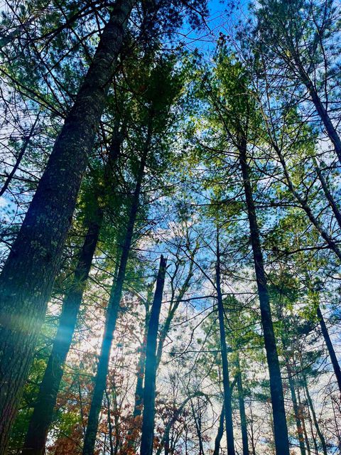 Tiny photo for 37336 Teal Dr, Sturgeon Lake, MN 55783 (MLS # 6123724)