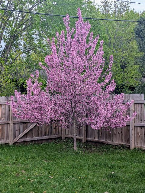 Tiny photo for 210 N Court Ave, Sandstone, MN 55072 (MLS # 6123314)