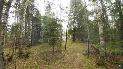 Tiny photo for 4512 Serenity Point Rd, Tower, MN 55790 (MLS # 6123874)