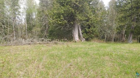 Tiny photo for 4512 Serenity Point Rd, Tower, MN 55790 (MLS # 6123874)