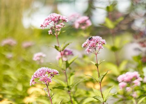 Tiny photo for 3868 Getchell Rd, Hermantown, MN 55811 (MLS # 6122535)