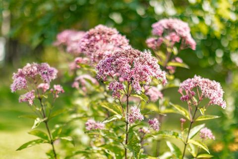 Tiny photo for 3868 Getchell Rd, Hermantown, MN 55811 (MLS # 6122535)