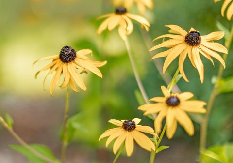 Tiny photo for 3868 Getchell Rd, Hermantown, MN 55811 (MLS # 6122535)