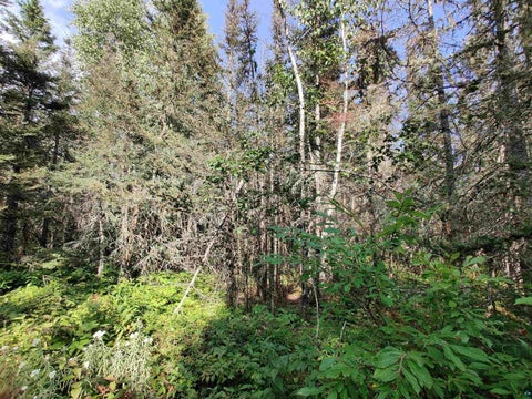 Tiny photo for XXX Gauthier Rd, Hovland, MN 55606 (MLS # 6127633)