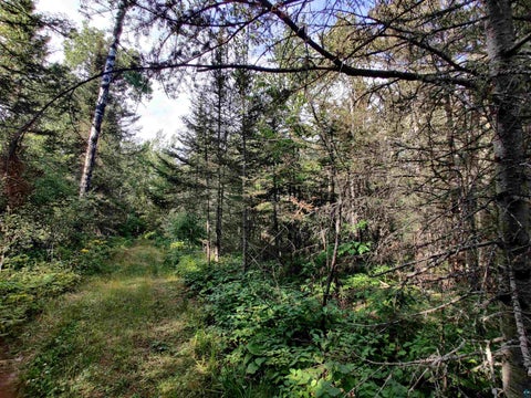 Tiny photo for XXX Gauthier Rd, Hovland, MN 55606 (MLS # 6127633)