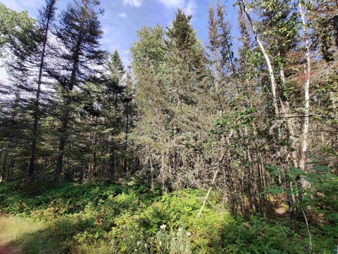 Tiny photo for XXX Gauthier Rd, Hovland, MN 55606 (MLS # 6127633)