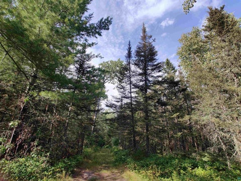 Photo of XXX Gauthier Rd, Hovland, MN 55606 (MLS # 6127633)