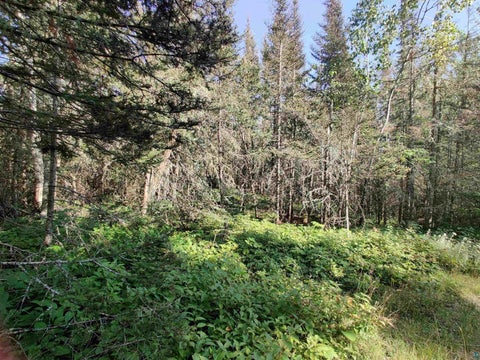 Tiny photo for XXX Gauthier Rd, Hovland, MN 55606 (MLS # 6127633)