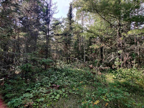 Tiny photo for XXX Gauthier Rd, Hovland, MN 55606 (MLS # 6127633)