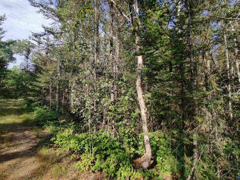 Tiny photo for XXX Gauthier Rd, Hovland, MN 55606 (MLS # 6127633)