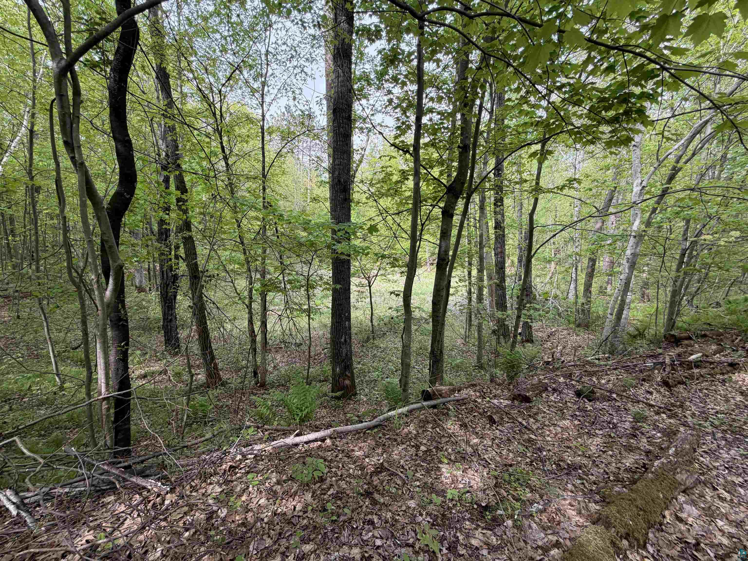 Lot 4 Peterson Rd